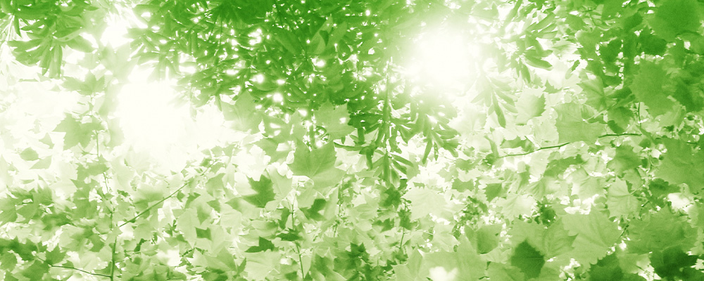 医療法人永井整形外科外科医院